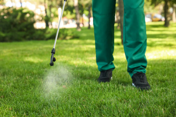 Best Pest Control for Homes  in Ives Estates, FL