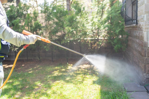 Trusted Ives Estates, FL Pest Control Experts