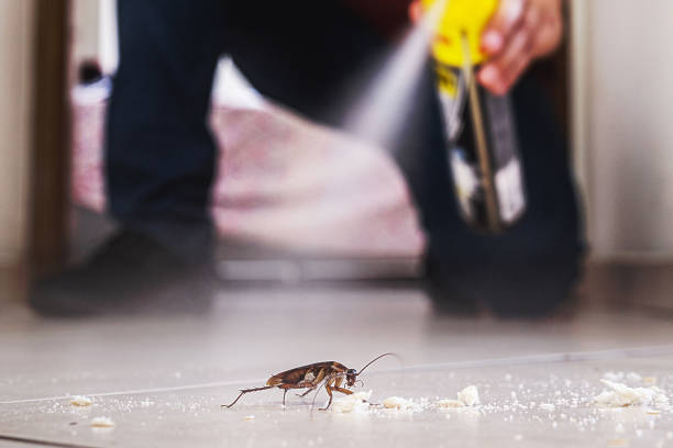 Best Bed Bug Extermination  in Ives Estates, FL